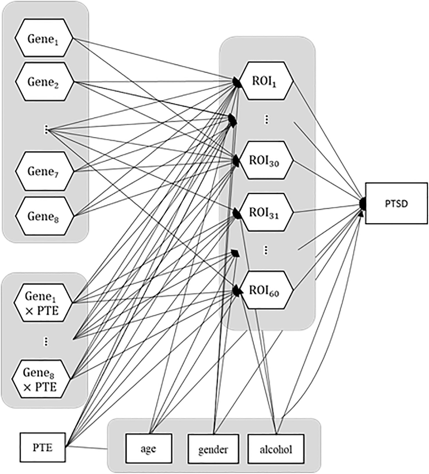 Hypothesized model specification